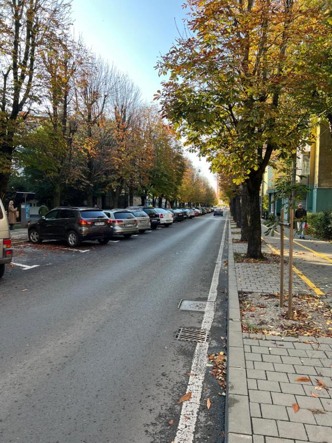 Star Baia Mare